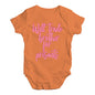 Babygrow Baby Romper Will Trade Brother For Presents Baby Unisex Baby Grow Bodysuit 18 - 24 Months Orange