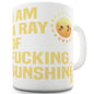 I Am A Ray Of F-cking Sunshine Novelty Mug