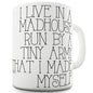I Live In A Madhouse Funny Mugs For Coworkers